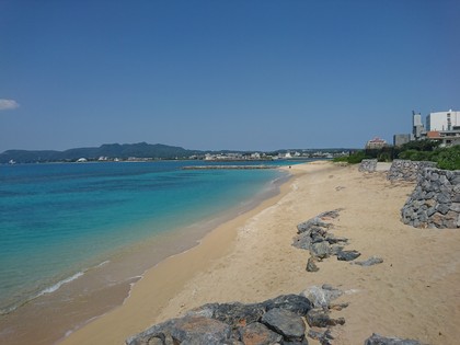 今年も宜しくお願い致します。